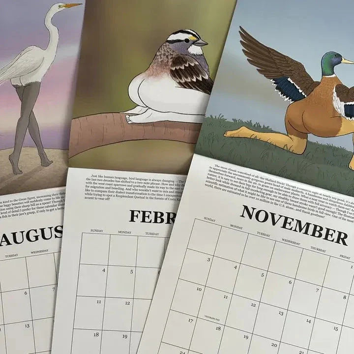 Charming 2024 Bird Wall Calendar for Nature Lovers