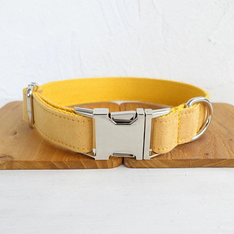 Nala durable polyester dog collar and leash set in vibrant colours