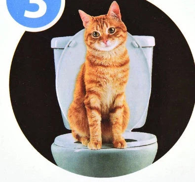 A modern, durable cat toilet trainer with a sleek design that makes potty training your feline friend easy and mess-free.