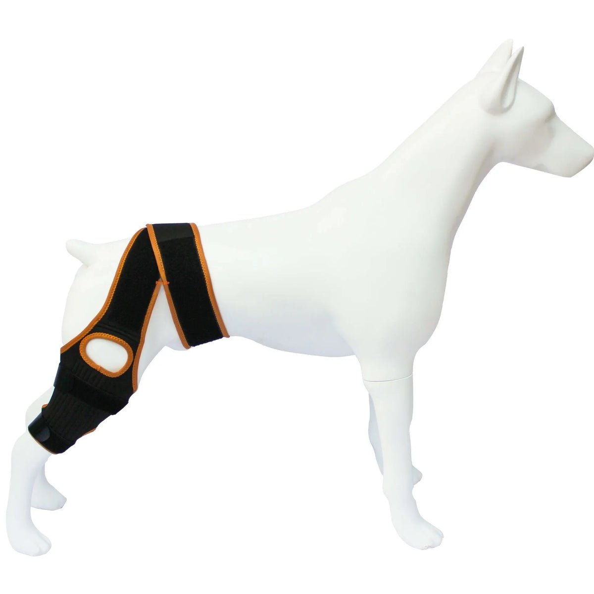 Adjustable neoprene dog hind leg support brace for hip dysplasia and arthritis.