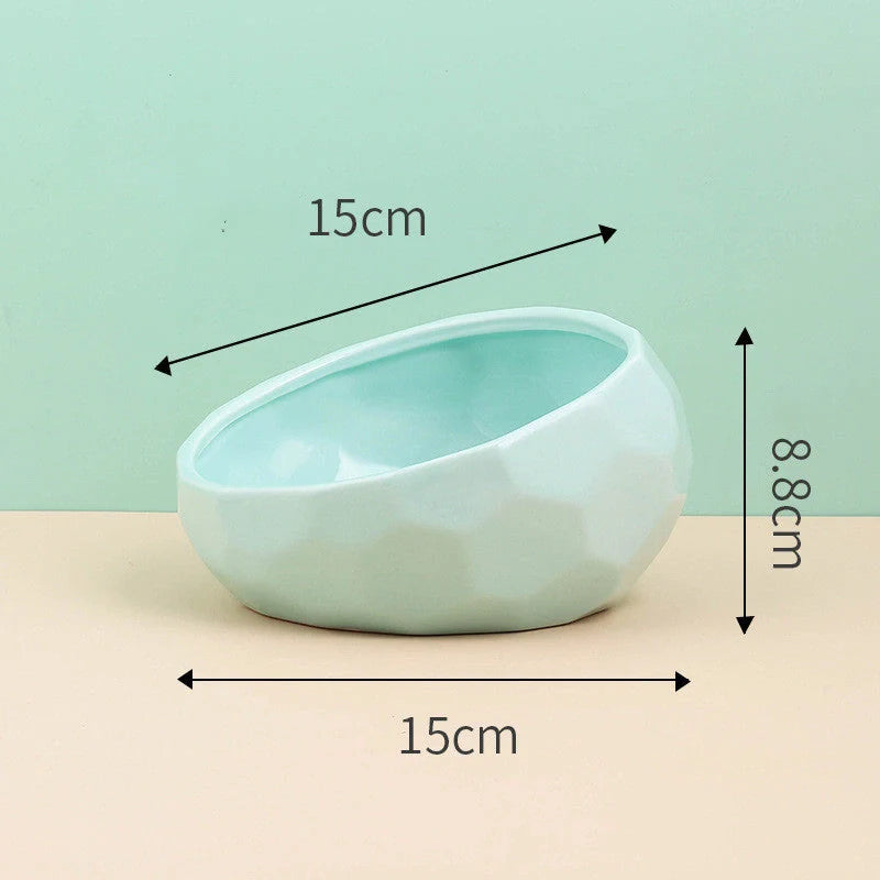 Elegant ceramic pet bowl with oblique mouth design for cats and dogs