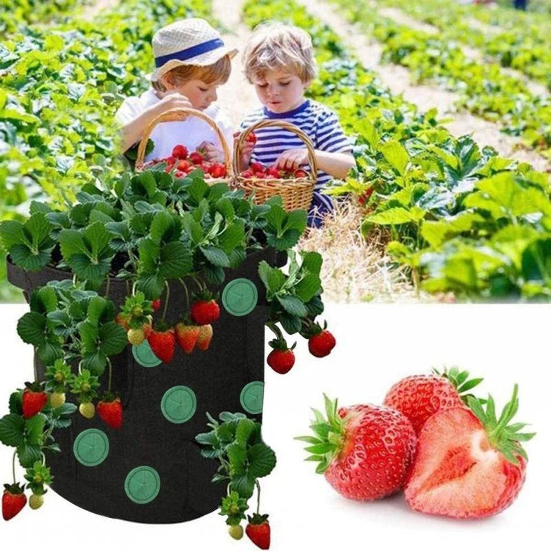 Premium vertical planting bags made of breathable non-woven fabric with 13 strategically placed holes for easy monitoring and harvesting