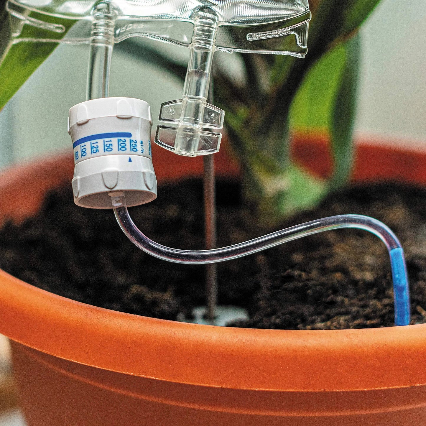 A transparent, self-watering plant feeder device with a 1000ml or 3000ml capacity, designed to keep indoor and outdoor plants hydrated for up to 7 days.
