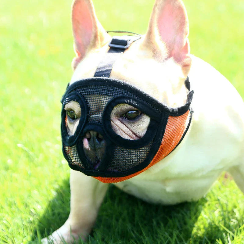 Hoopet Breathable Dog Muzzle for French Bulldogs and Flat-Faced Breeds in Adjustable Sizes and Styles