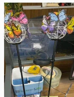 Elegant solar-powered butterfly garden lights with sleek black and transparent design, creating a captivating display in an outdoor setting