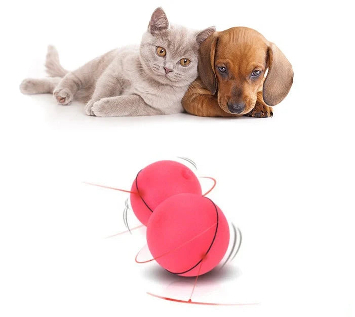 Robotic ball with LED lights and automatic 360-degree rotation, designed to captivate and entertain cats