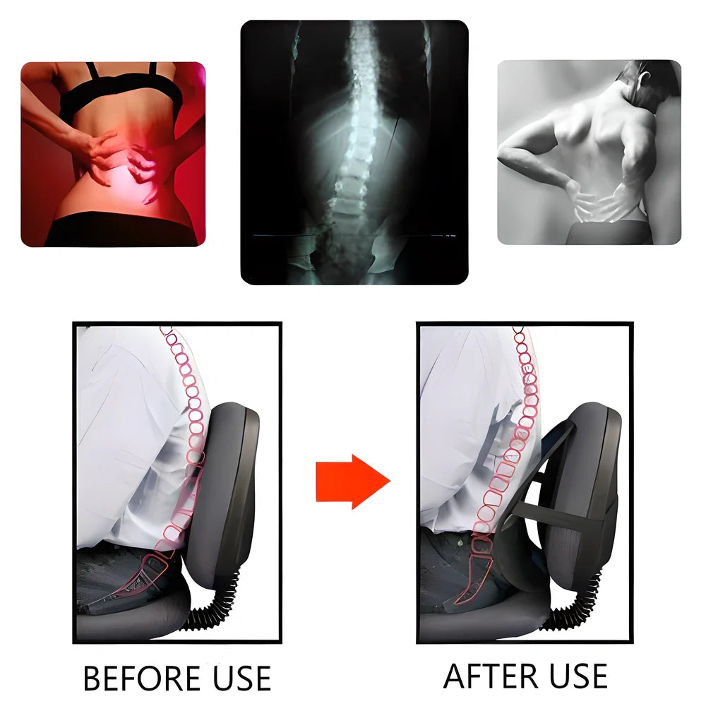 Ergonomic 2-in-1 Car Seat and Office Chair Mesh Lumbar Support with adjustable strap and breathable mesh material