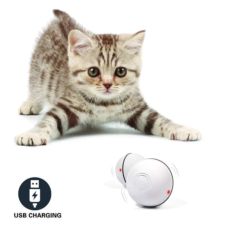 Robotic ball with LED lights and automatic 360-degree rotation, designed to captivate and entertain cats