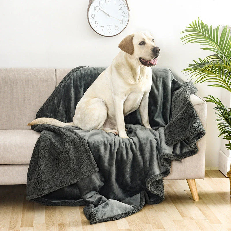 Cozy flannel dog blanket with soft sherpa accents for all-season comfort and warmth