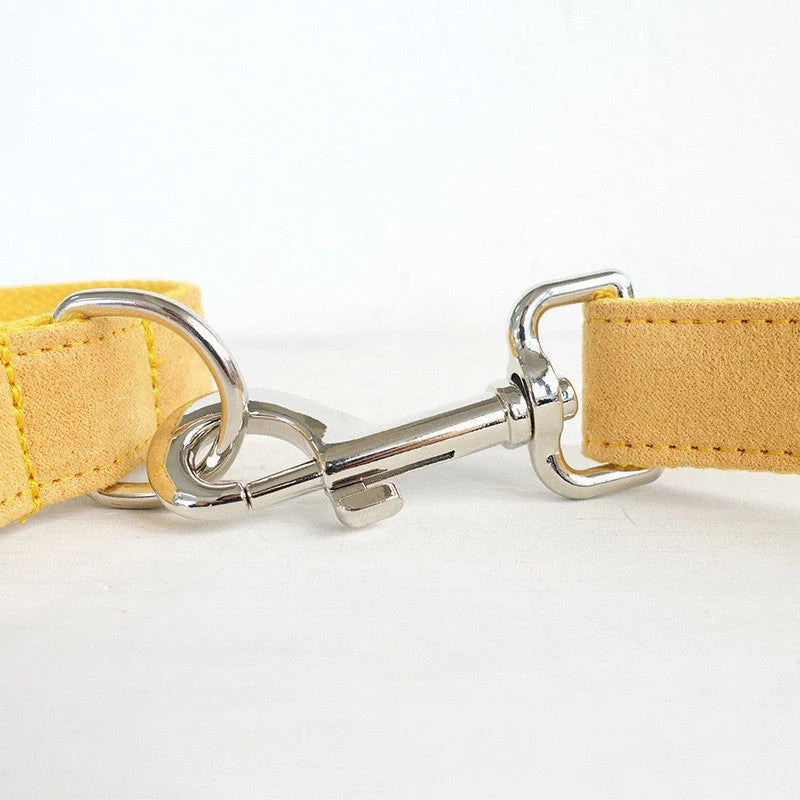 Nala durable polyester dog collar and leash set in vibrant colours