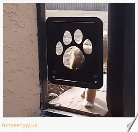 Controllable Access Pet Door with Sliding Lock Mechanism for Cats and Dogs