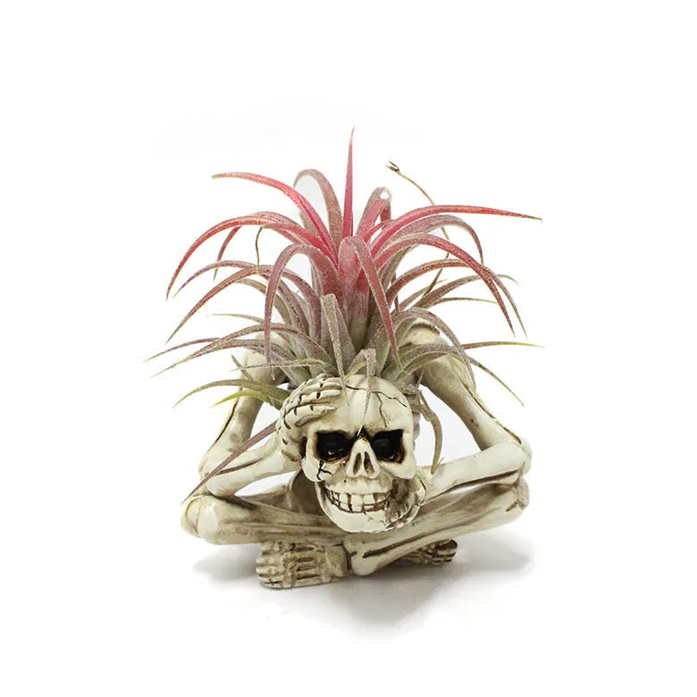 Gothic-style soilless resin bracket with skull motif for air plants, shown with integrated iron stand.