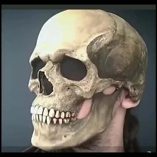 Lifelike 3D skull mask with movable jaw, perfect for Halloween costumes and cosplay events