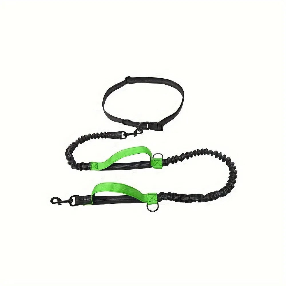 Nylon hands-free dog leash with adjustable waist belt shown in multiple colours