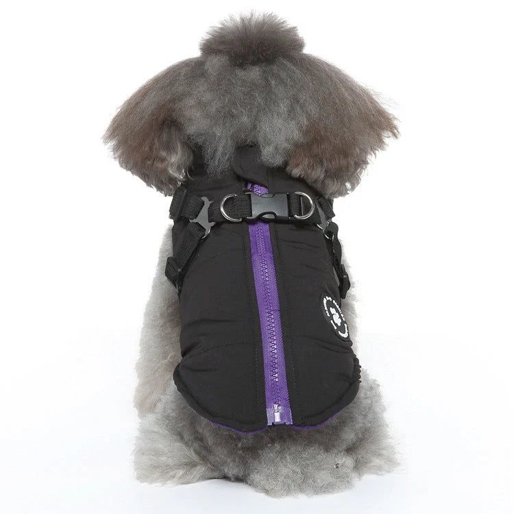 Comfy cotton-padded jacket with adjustable chest strap, available in black, blue, green, and red colours, suitable for pets