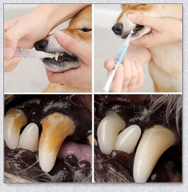 A pet dental care product designed to repair and prevent dental disease in pets, featuring a plant-based formula and a soft-bristle brush.