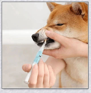 A pet dental care product designed to repair and prevent dental disease in pets, featuring a plant-based formula and a soft-bristle brush.