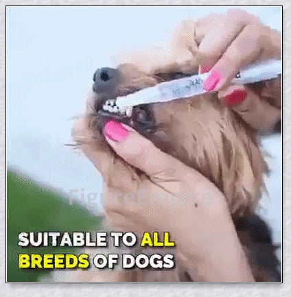 A pet dental care product designed to repair and prevent dental disease in pets, featuring a plant-based formula and a soft-bristle brush.