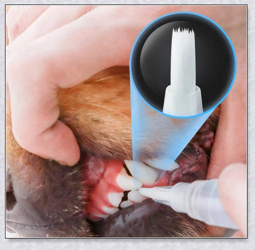 A pet dental care product designed to repair and prevent dental disease in pets, featuring a plant-based formula and a soft-bristle brush.