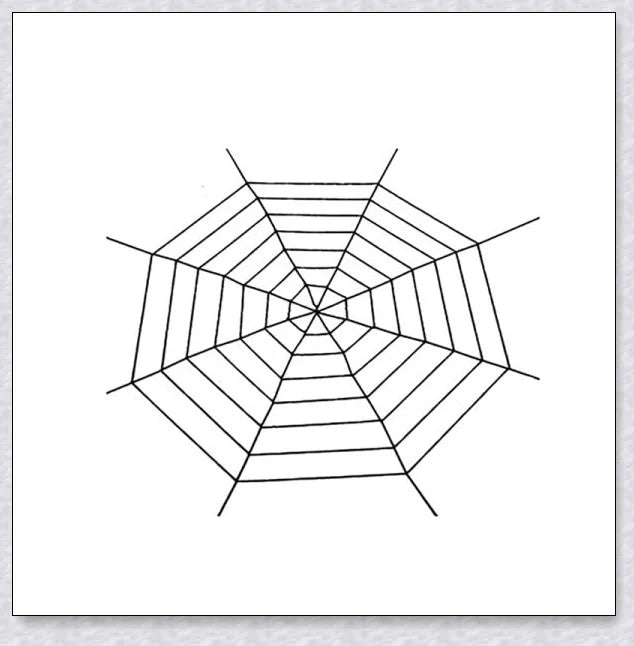 Webby Giant Halloween Spider Web - Massive, stretchy black and white web for creating a spooky, haunting atmosphere