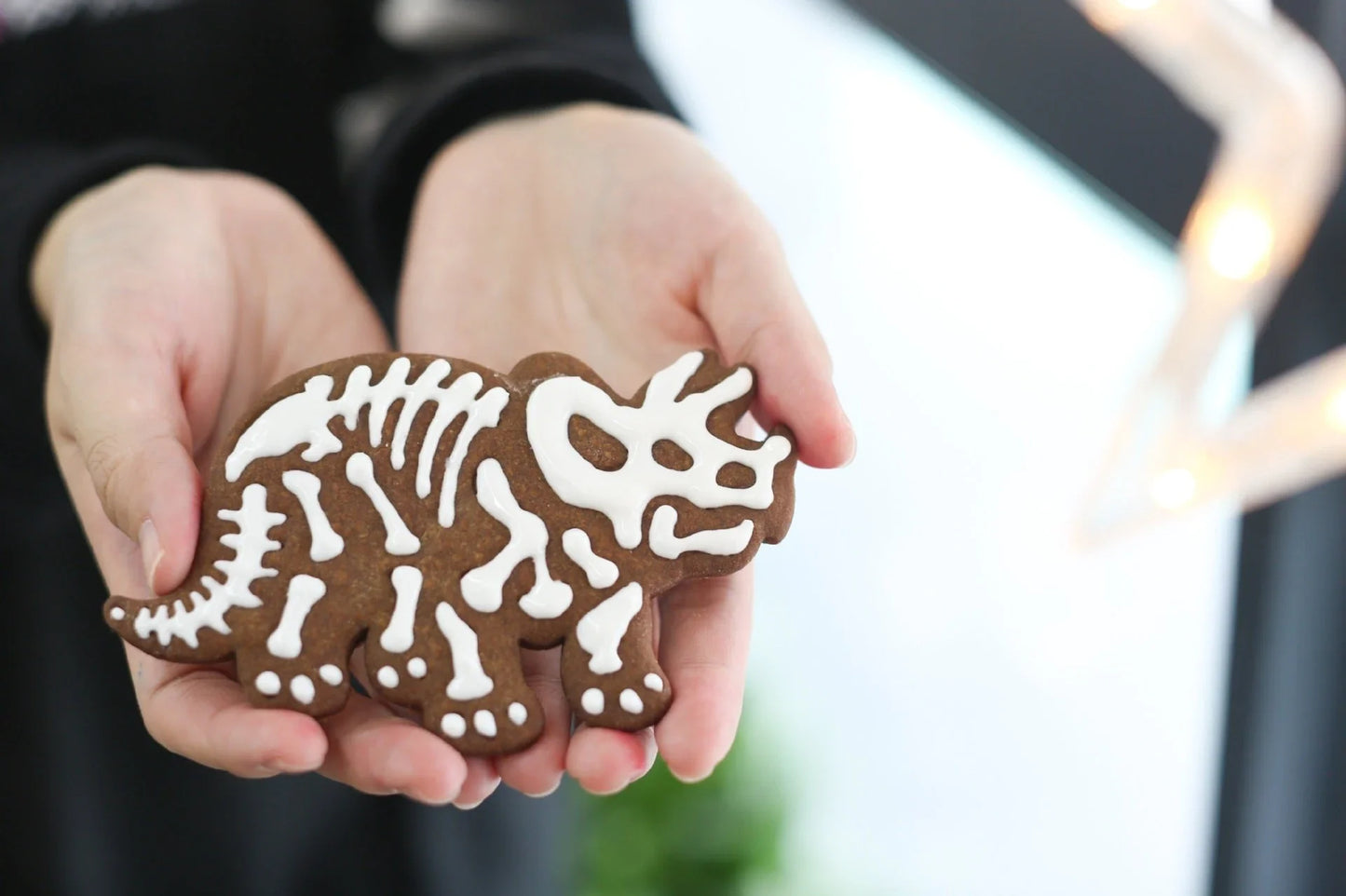 Dinosaur-shaped biscuit mould made from food-grade PVC material for safe and creative baking
