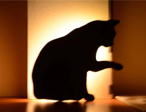 Charming pet-inspired mood lamp with various animal-shaped designs, including walking cat, mother and child cat, licking cat, and Pikachu