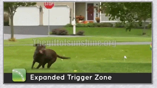 Wireless Electric Dog Fence - Invisible Dog Fence with Shock Collar for safe pet containment and training