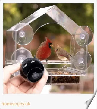 A clear bird feeder with a wireless camera that captures live footage of birds visiting the feeder