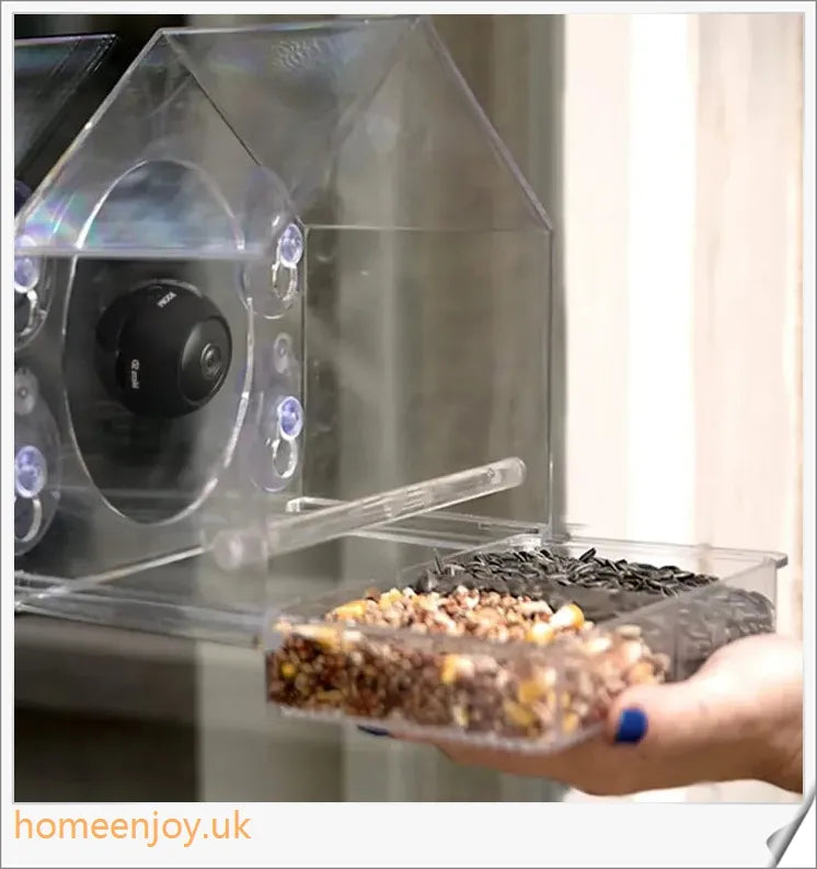 A clear bird feeder with a wireless camera that captures live footage of birds visiting the feeder
