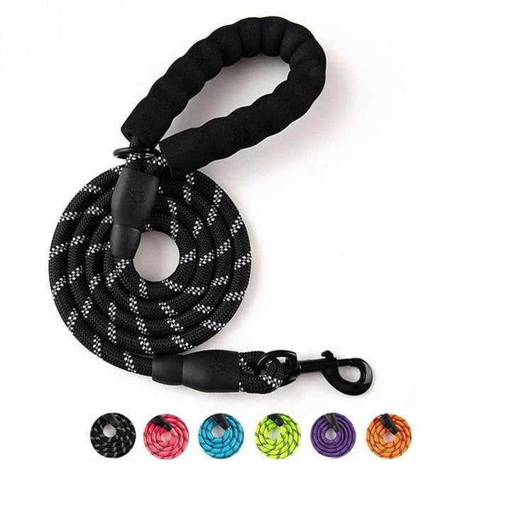 Colourful thick nylon dog leash with vibrant green colour and reinforced stitching for durability and safety