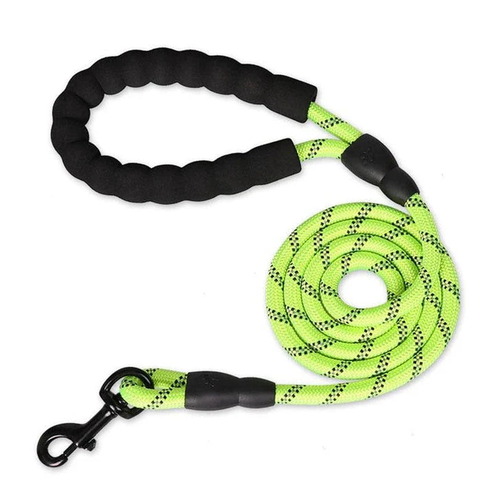 Colourful thick nylon dog leash with vibrant green colour and reinforced stitching for durability and safety