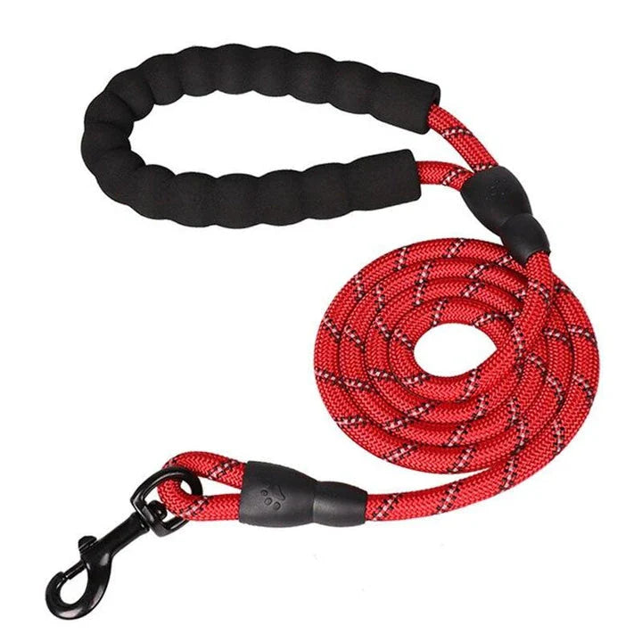 Colourful thick nylon dog leash with vibrant green colour and reinforced stitching for durability and safety