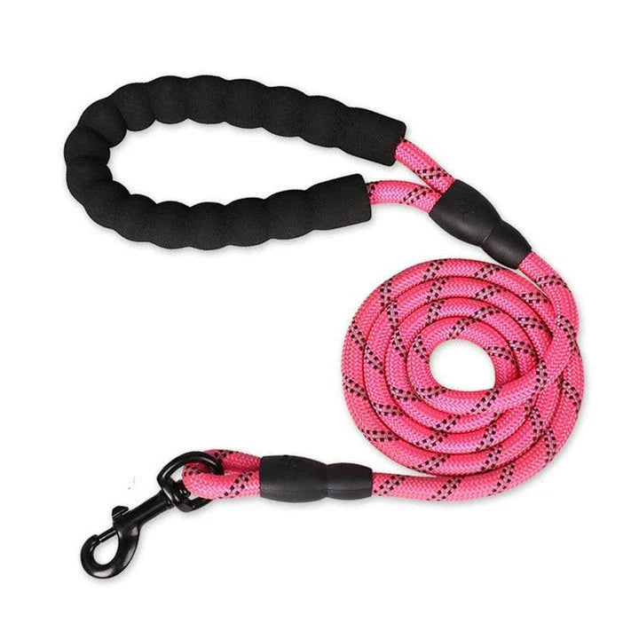 Colourful thick nylon dog leash with vibrant green colour and reinforced stitching for durability and safety
