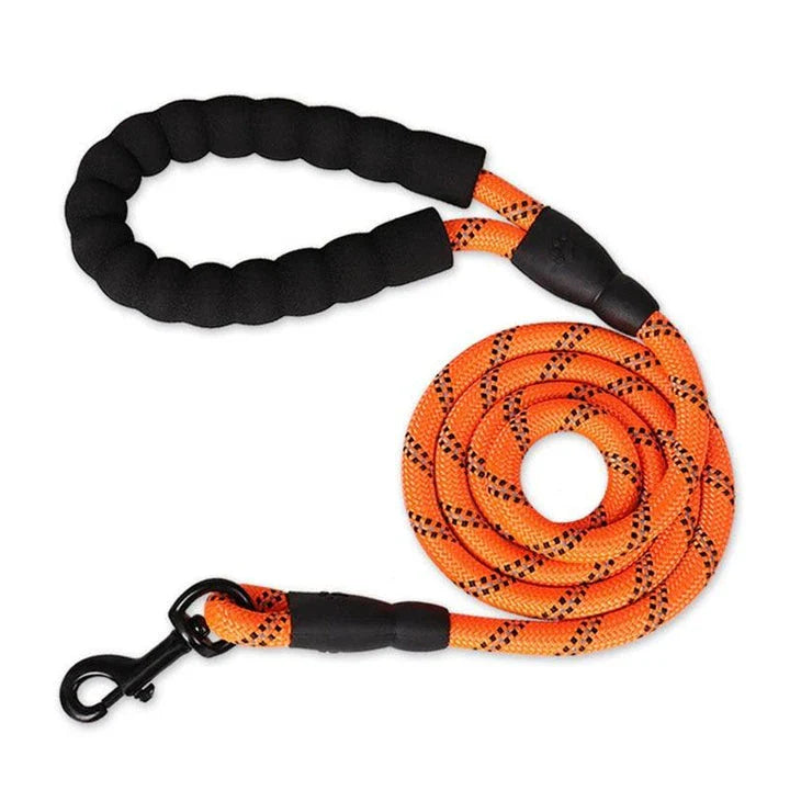 Colourful thick nylon dog leash with vibrant green colour and reinforced stitching for durability and safety