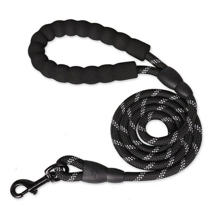Colourful thick nylon dog leash with vibrant green colour and reinforced stitching for durability and safety
