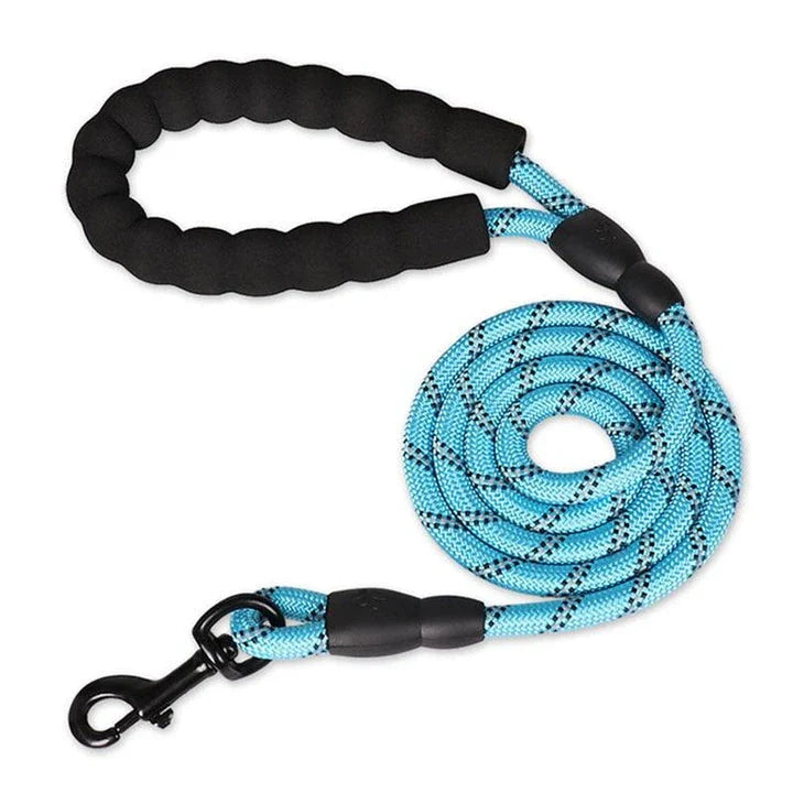Colourful thick nylon dog leash with vibrant green colour and reinforced stitching for durability and safety