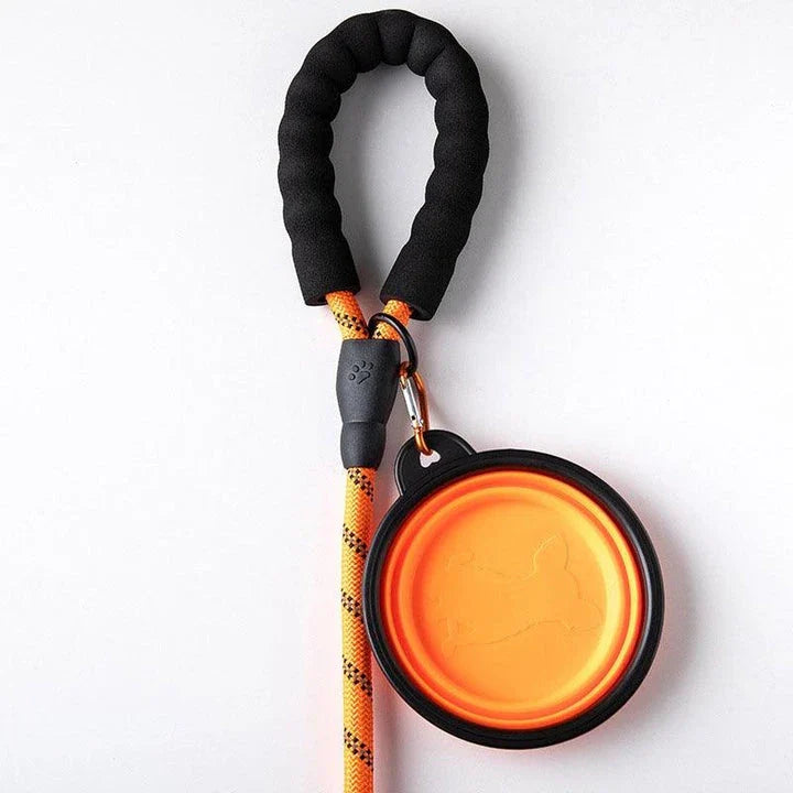 Colourful thick nylon dog leash with vibrant green colour and reinforced stitching for durability and safety
