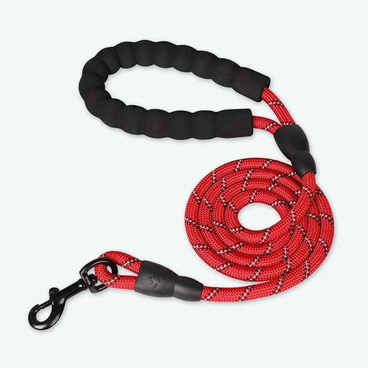 Colourful thick nylon dog leash with vibrant green colour and reinforced stitching for durability and safety