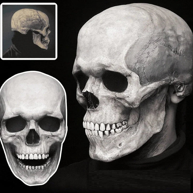 Lifelike 3D skull mask with movable jaw, perfect for Halloween costumes and cosplay events