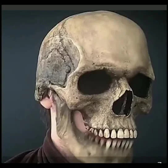 Lifelike 3D skull mask with movable jaw, perfect for Halloween costumes and cosplay events