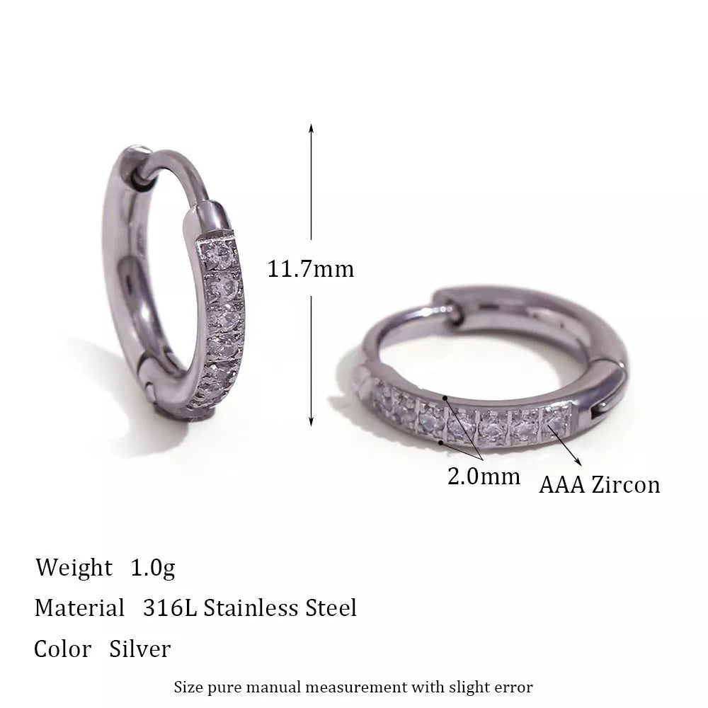 Women's titanium steel zircon earrings with electroplating, available in gold and steel finishes