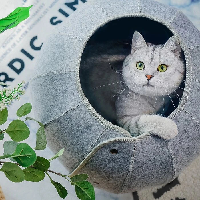 Cozy Cave: Versatile Foldable Cat Tunnel Toy in Green, Grey, Blue, and Red Colors