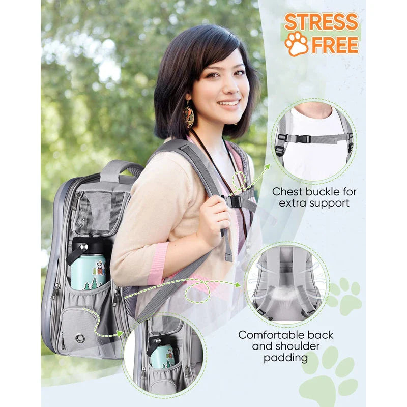 Breathable dog backpack with transparent window and breathable design for small pets