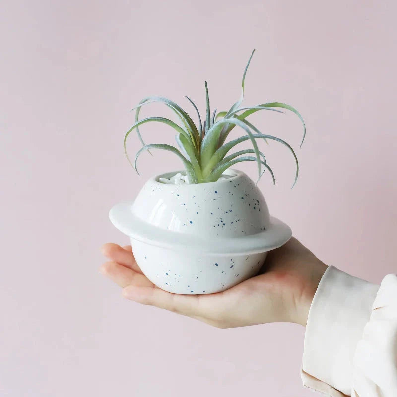 Mini Planet Shape Ceramic Succulent Flower Pot with a smooth, planet-inspired design in blue colour