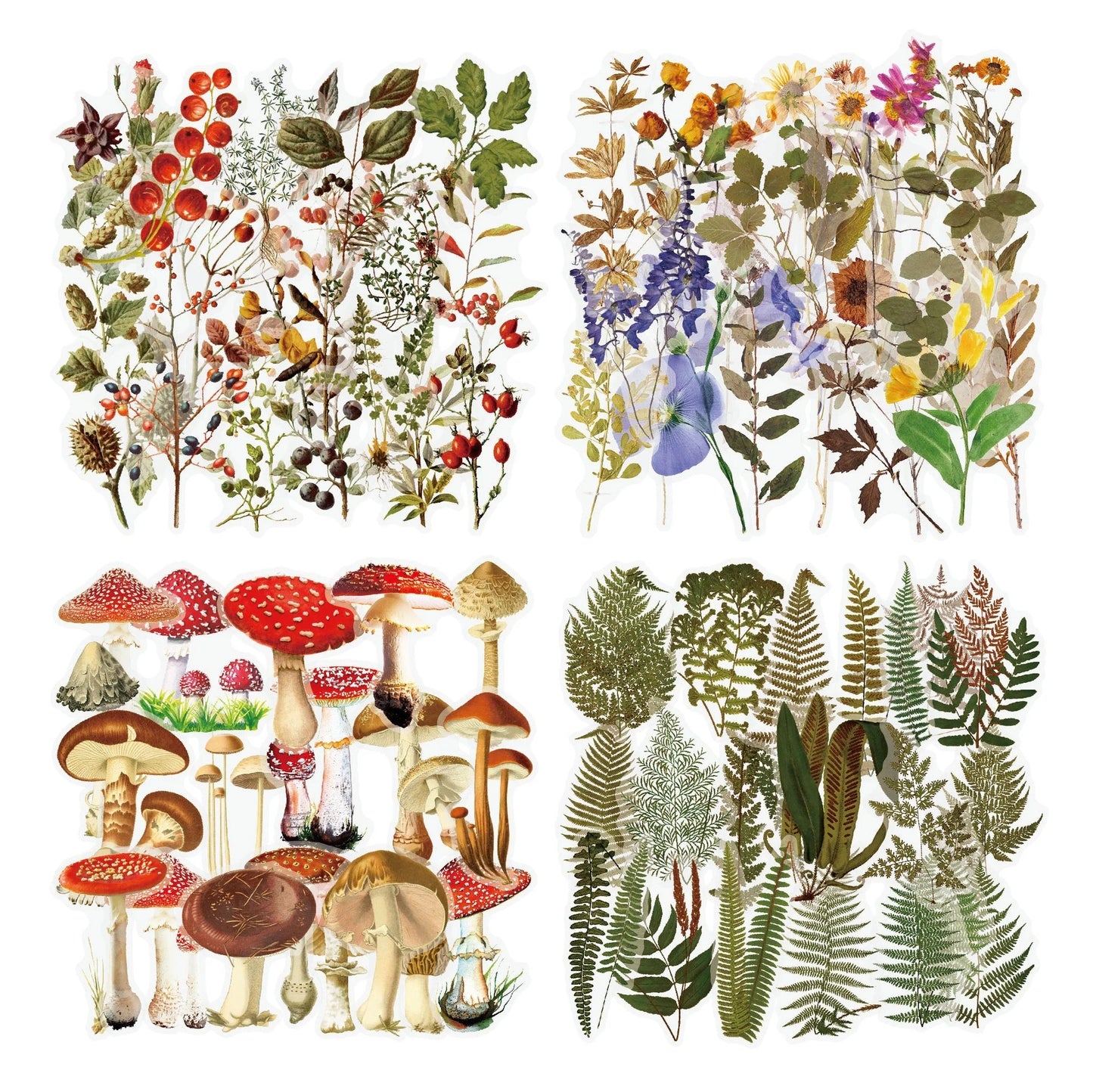 Enchanting collection of transparent floral, mushroom, and fern stickers for DIY crafting and design