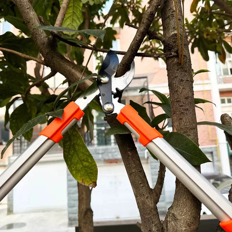Professional Bypass Pruning Shears for precise gardening and bonsai trimming