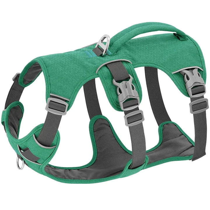 Reflective nylon dog harness with handle for small, medium, and large dogs, featuring adjustable straps and durable construction for comfortable, controlled walks.