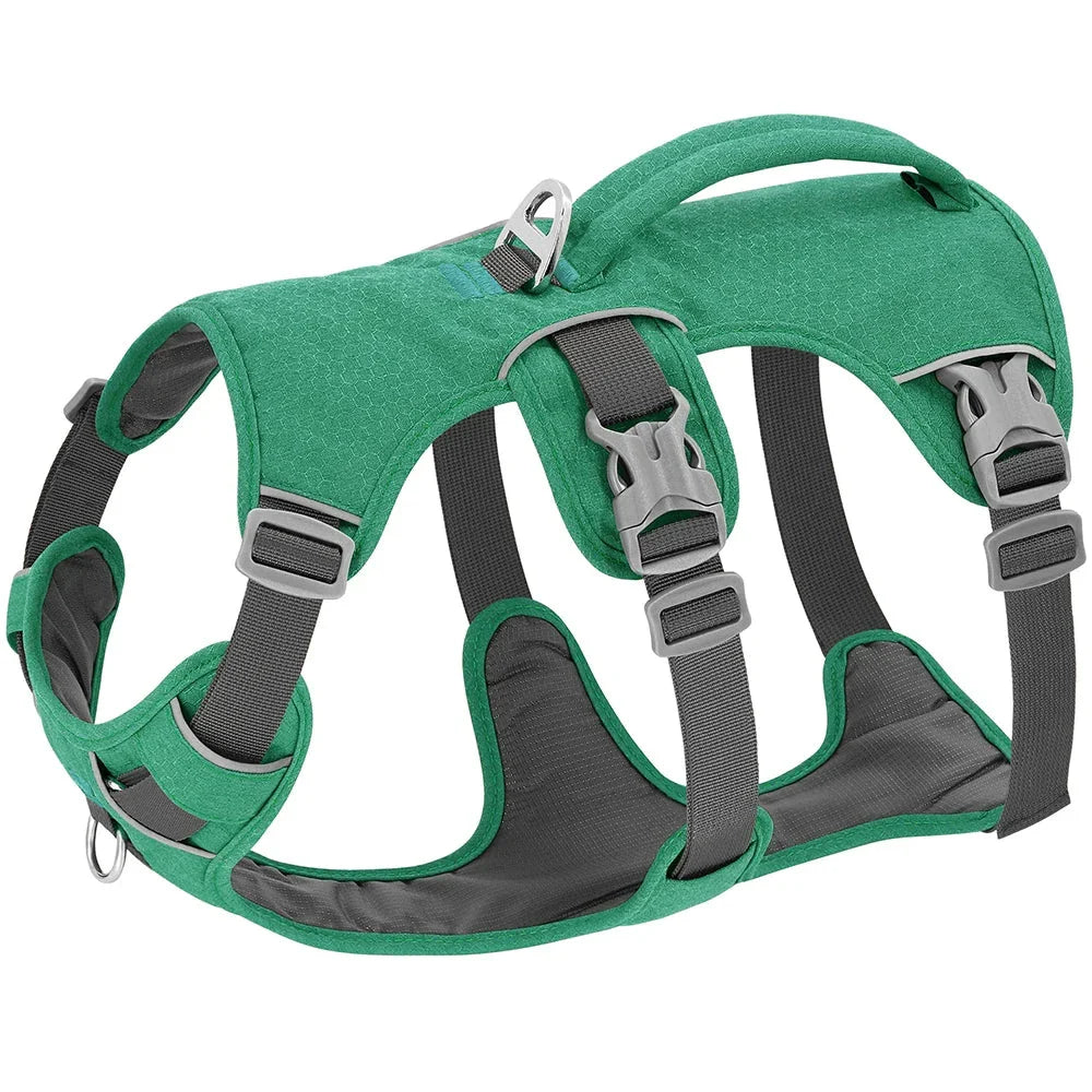 Reflective nylon dog harness with handle for small, medium, and large dogs, featuring adjustable straps and durable construction for comfortable, controlled walks.