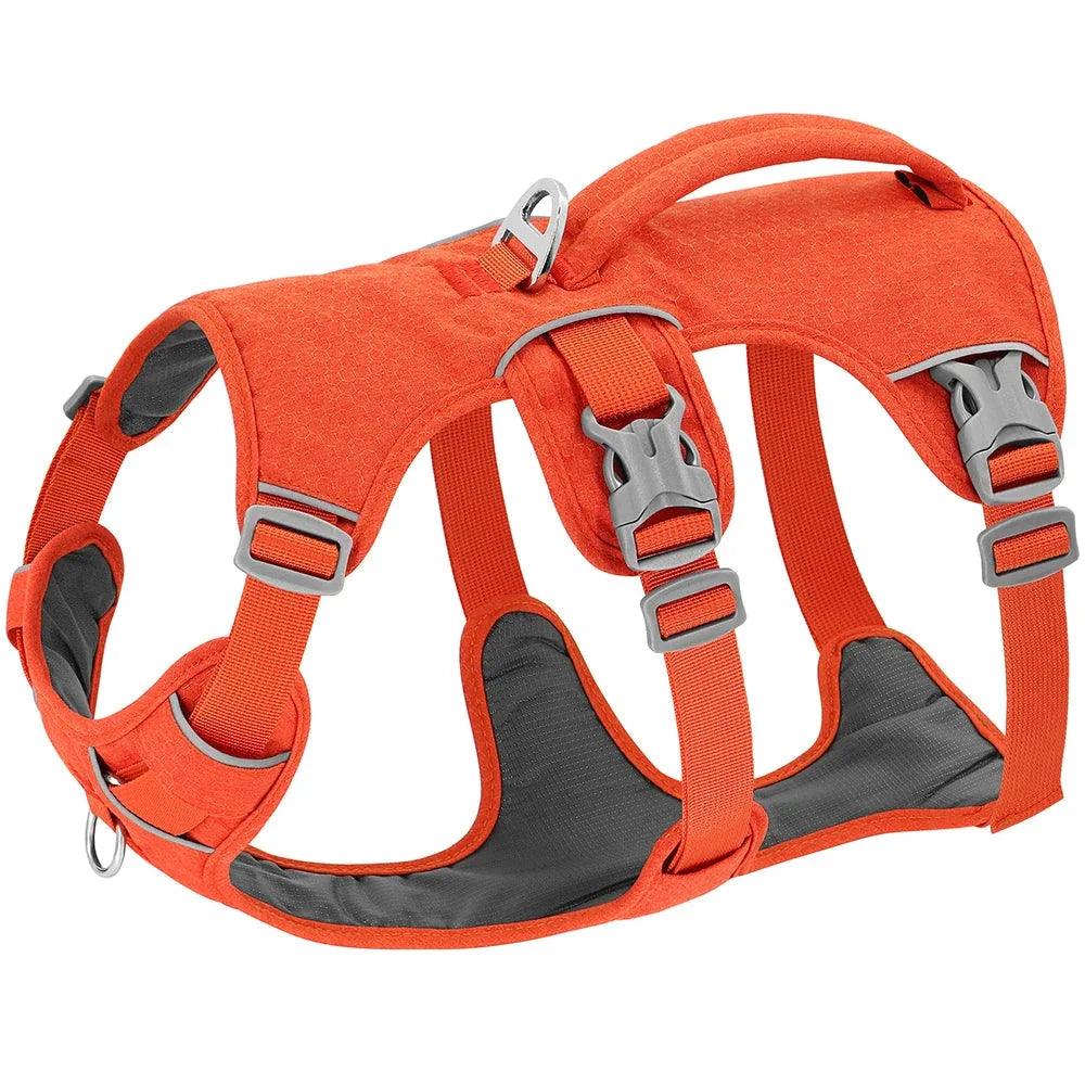 Reflective nylon dog harness with handle for small, medium, and large dogs, featuring adjustable straps and durable construction for comfortable, controlled walks.
