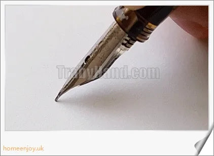 Executive Flexible Nib Fountain Pen with calligraphic strokes and elegant design